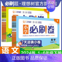 数学 北师大版 六年级下 [正版]2024小学必刷卷下册语文数学人教版北师版苏教版一二年级三年级四年级五六年级练习册单元
