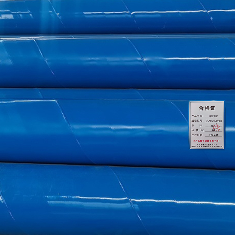 亮刃涂塑钢管DSAPN16 DN80米