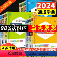 中考版英语阅读组合训练 初中通用 [正版]2024新版通城学典初中语文英语阅读组合训练七年级八年级九年级上册下册789年