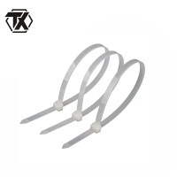 铁迅尼龙扎带 I84 100条/包