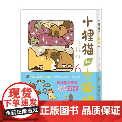 小狸猫和小狐狸6 亚多本 著 动漫