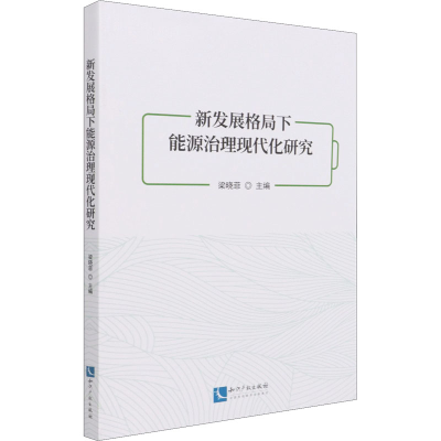 醉染图书新发展格局下能源治理现代化研究9787513075589