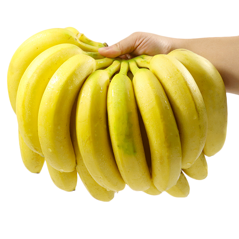 特产香蕉