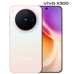 vivo X300 12GB+256GB 幸运彩 6040mAh电池 天玑9500 蔡司2亿主摄 持久流畅 拍照 AI 5G手机