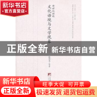 正版 新世纪初的文化语境与文学现象 杨剑龙等著 中央编译出版社