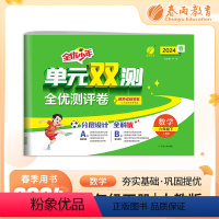 数学 六年级下 [正版]2024年春单元双测数学六年级下册人教版小学练习题同步训练试卷测试卷全套期中期末专项提优达标特训
