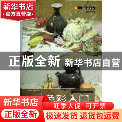 正版 色彩入门 王正光,王永峰,张铭蔹编著 湖北美术出版社 9787