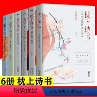 [正版]抖音同款枕上诗书系列6册遇见美宋词 遇见美唐诗他们有才亦有爱一诗一词诗词入门歌赋诗词大会飞花令中国古典文学婉约