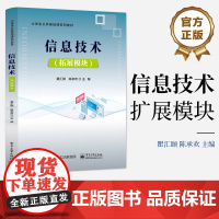 店 信息技术 拓展模块 大学生公共基础课系列教材 高校信息技术拓展模块课程教材书籍 瞿汇颐 陈承欢 电子工业出版社