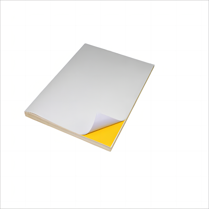 彩标 BGJ-260 300mm*260mm 50张/盒 标签胶贴 (计价单位:盒) 白色