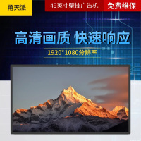 甬天派TOPIT-T19BRA049-1壁挂式49英寸广告机