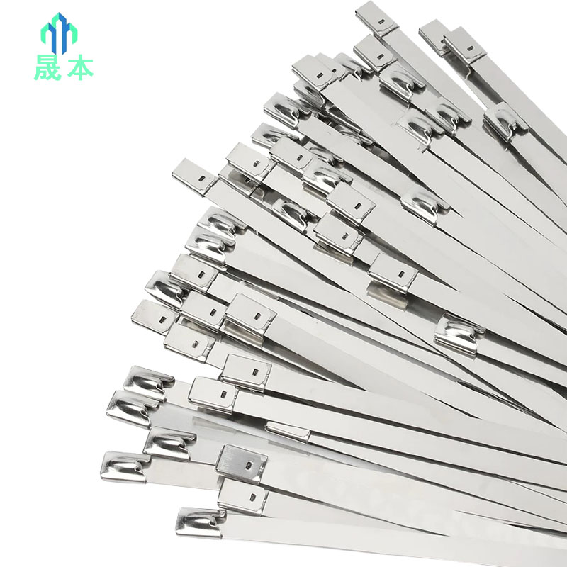 晟本 不锈钢扎带 4.6*1400mm 根