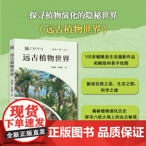远古植物世界
