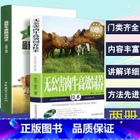 [正版]2册养牛书籍大全牛病防治技术无公害肉牛高效饲养牛病诊断治疗繁殖母牛饲养管理技术家养饲料配方肉牛养殖书籍畜牧兽医专
