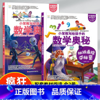 疯狂的数学课2册 [正版]疯狂的数学课 写给孩子的数学奥秘 加减乘除的秘密+不一样的点线面 疯狂的十万个为什么七五六年级