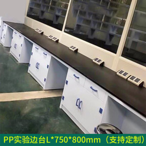 文灵全钢实验台钢木PP边台柜试验台化验室工作台实验室桌操作台定制(每米单价)[工厂现做 7天内发货]