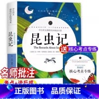 昆虫记 [正版]昆虫记全册名师陪读原著完整版无删减法布尔三四五六年级八年级小学生初中生必读课外书导读带批注考题考点开明出