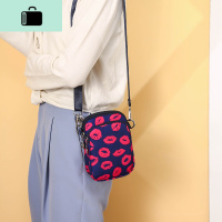 放手机的小包百搭薄款尼龙斜挎包包女牛津布防水单肩包降落伞布包NEW LAKE女斜挎包