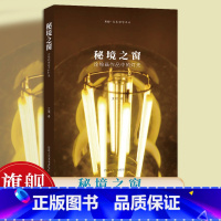 [正版]旗舰秘境之窗 论绘画作品中的灯光 王瑾著 研究灯光在绘画作品中的作用和意义 灯光艺术绘画理论 绘画爱好者阅读参