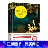 汤姆索亚历险记 [正版]爱丽丝漫游奇境记书 爱丽丝梦游仙境书六年级下册必读书目 小学生课外书奇镜彩绘原版原著阅读书籍五年