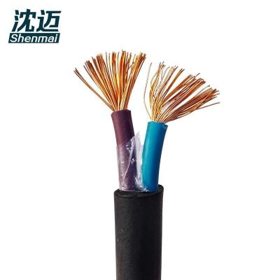 沈迈 防水电缆 JHS-2*6mm² /米
