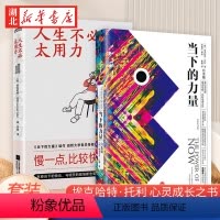 [正版]全2册当下的力量 白金版+人生不必太用力 埃克哈特·托利 一生的心灵成长之书 拯救你的跑调人生 自我实现励志