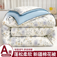 A类卡通棉花被子被芯加厚保暖冬被四季通用学生宿舍单人棉被褥被