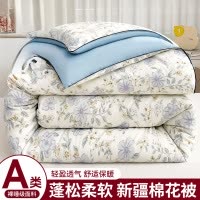 A类卡通棉花被子被芯加厚保暖冬被四季通用学生宿舍单人棉被褥被