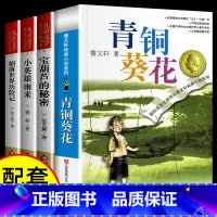 [全4册]青铜葵花+小英雄雨来+宝葫芦的秘密+细菌世界历险记 [正版]青铜葵花草房子曹文轩 江苏少年儿童出版社 原著纯美