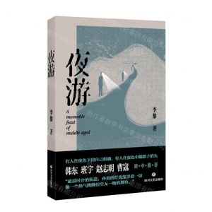 [N]夜游-9787541166983