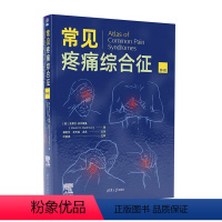 理科 [正版]新书常见疼痛综合征(第4版) [美]史蒂文·沃尔德曼 临床医学类