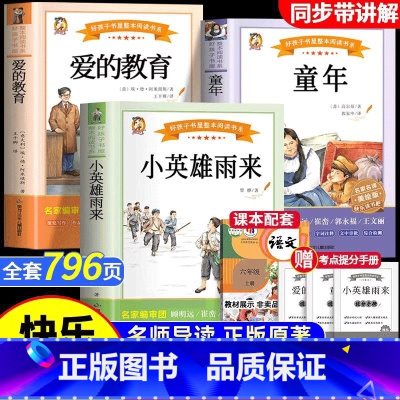 [全3册+考点手册]六年级上册阅读书 [正版]快乐读书吧 童年爱的教育小英雄的雨来 小学六年级上册同步课外阅读书人教版