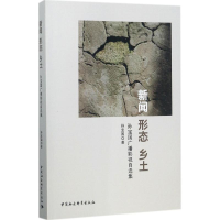 音像新闻 形态 乡土孙宝国 著