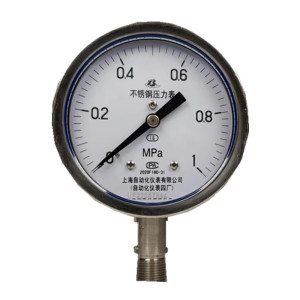 上自仪不锈钢压力表Y-100B 接口M20×1.5 量程0-1.0Mpa 带三色环