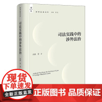 中法图正版 司法实践中的涉外法治 肖凯 涉外法治文库 研判域外司法案例案件审理程序 涉外法律适用规则制度设计司法程序 法