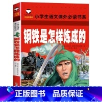 小学生语文阅读书系 钢铁是怎样炼成的 [正版]钢铁是怎样炼成的 彩图注音版 小学生一二三年级5-6-7-8岁语文课外世界
