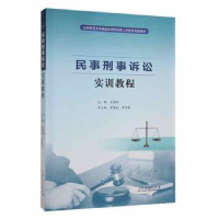 音像民事刑事诉讼实训教程王德新主编