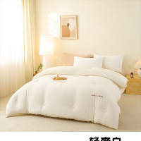 大豆纤维被子被芯学生宿舍单人春秋被空调被四季通用加厚保暖冬被