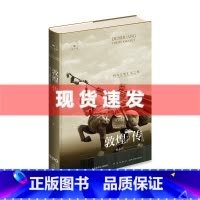 [正版] 敦煌传:四大文明汇流之地 杜永卫著 甘肃省作家协会原主席高平、中共甘肃省酒泉市委书记撰写长序力荐 新星出