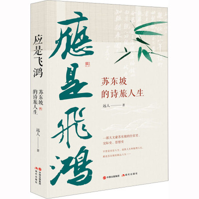 应是飞鸿:苏东坡的诗旅人生