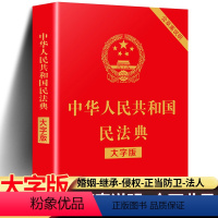 [正版]民法典 全新 民法典理解与适用全套大字版 中华人民共和国民法典注释本法律常识一本全相关司法解释汇编法律书籍