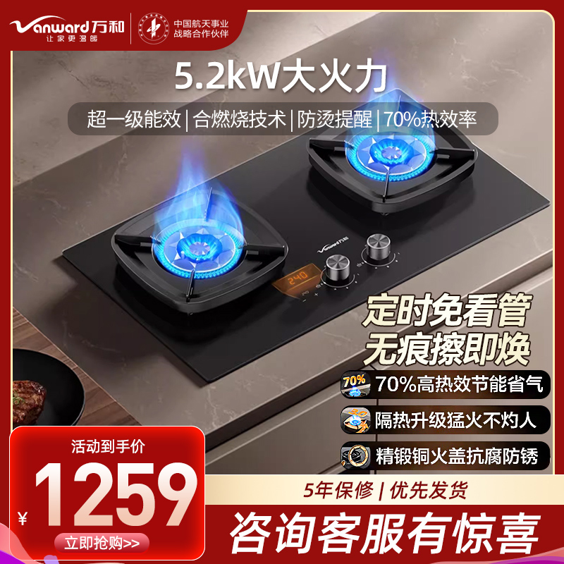 万和(Vanward)[超省星G9·定时无印面板]燃气双灶具5.2kW70%热效率烟灶家用定时关火煤气炉G9L56天然气