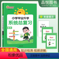 系统总复习[语+数+英] 小学六年级 [正版]2024小升初试卷真题卷语文数学英语全国通用小学毕业系统总复习资料六年级下
