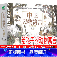 给孩子的动物寓言 三年级版 [正版]讲给孩子的中国地理 刘兴诗著三年级下册必读课外书刘兴诗爷爷给孩子讲中国地理7册四年级