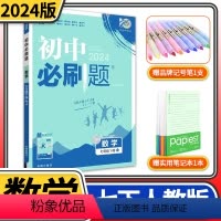 [正版]2024版初中必刷题七年级下册数学RJ人教版同步练习册巧练 初三七下7七年级下册中学教辅资料辅导书中考总复习知