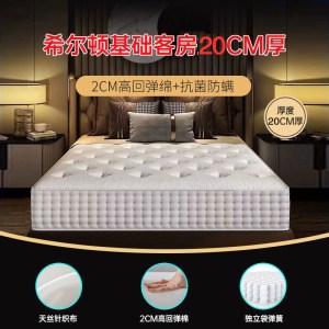 质凡家用独立弹簧席梦思床垫偏软1200*2000*200mm/ZF-CD610/张