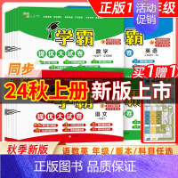 联系客服(套尺)(勿拍) 四年级上 [正版]2024秋新小学学霸提优大试卷一年级二年级三年级四五六上册语文数学英语人