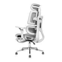 赞属 人体工学电脑椅 ZS-RtGXY 把