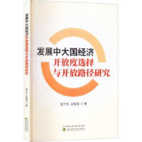正版新书]发展中大国经济开放度选择与开放路径研究张子杰978752