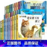 百年经典儿童文学[套装30册] [正版]百年经典儿童文学冰心奖名家名作系列我家楼下的猫王魔法学校小学生课外书阅读书籍三四